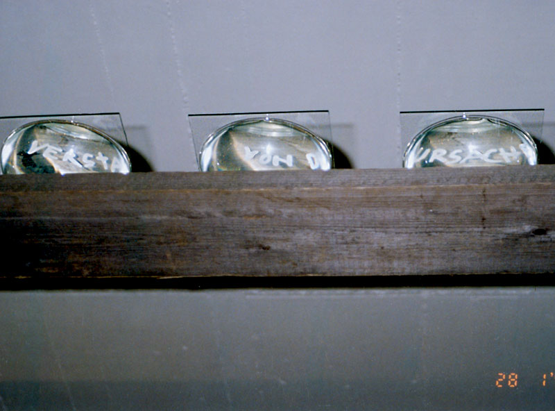 Kryptische Konzepte: Worte und Wellen